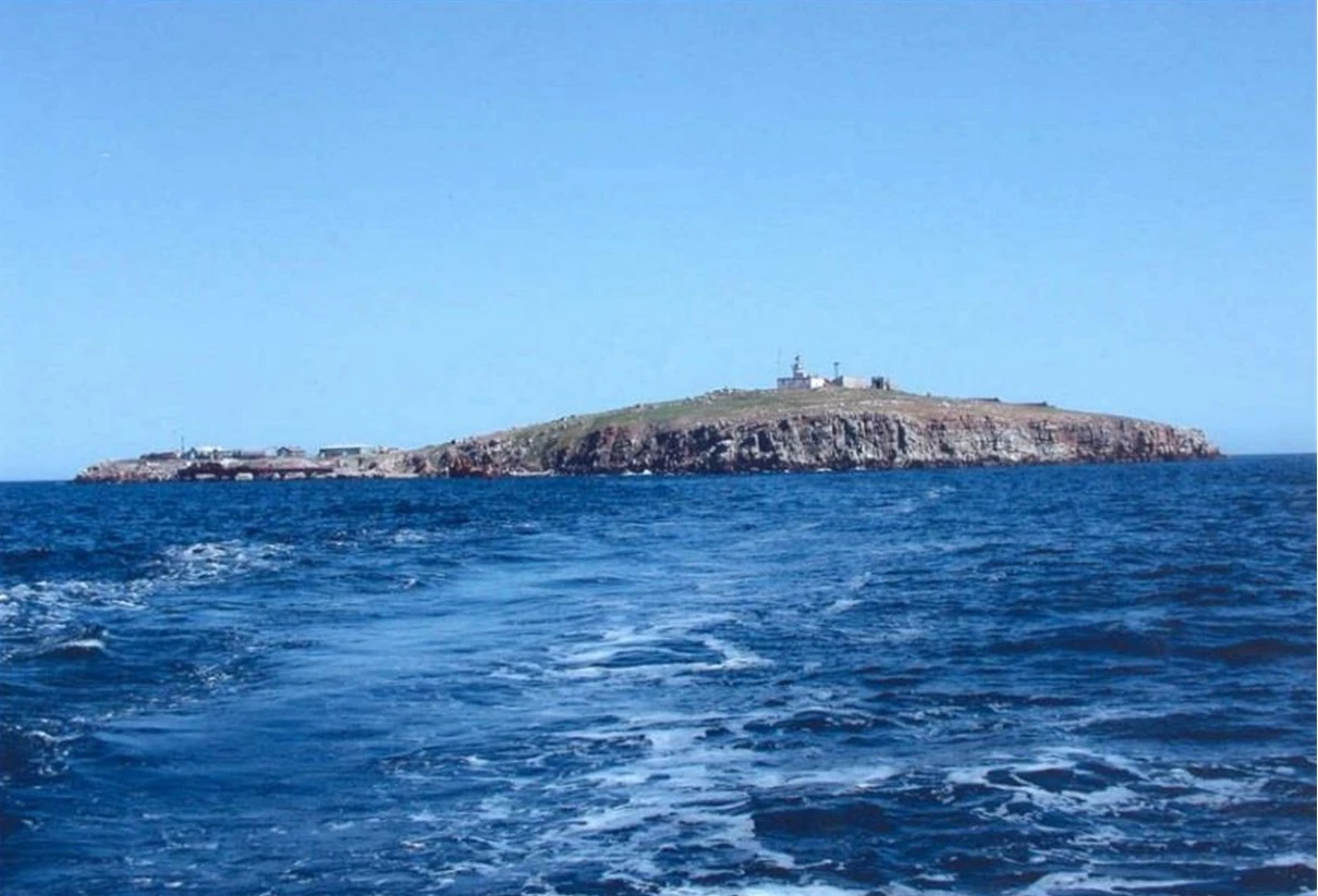 Иллюстрация к книге — Живые! Помните погибших моряков! Книга 2 [book-illustration-14.webp]