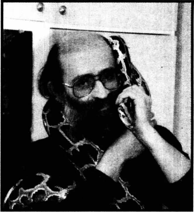 Иллюстрация к книге — Искатель, 2008 № 02 [book-illustration-7.webp]