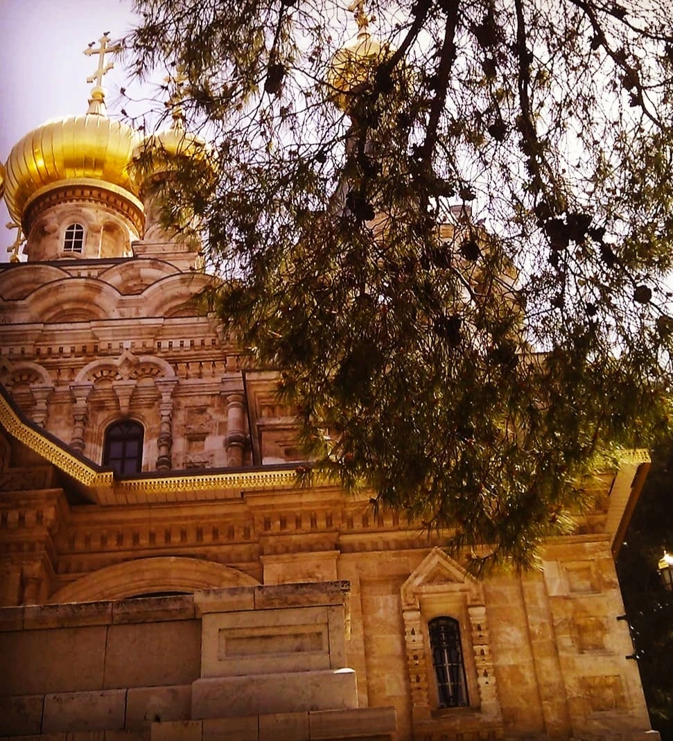 Иллюстрация к книге — Человеки [book-illustration-14.webp]