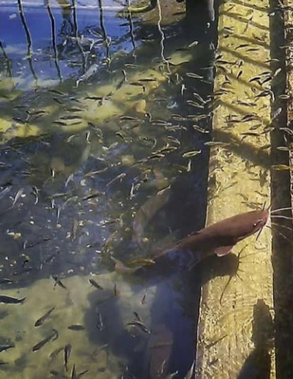 Иллюстрация к книге — Человеки [book-illustration-18.webp]