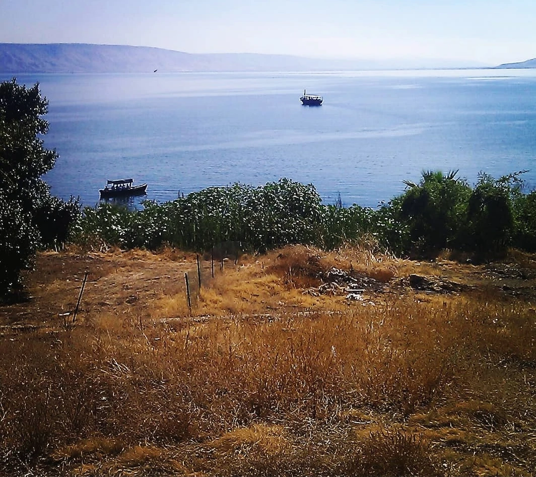 Иллюстрация к книге — Человеки [book-illustration-26.webp]