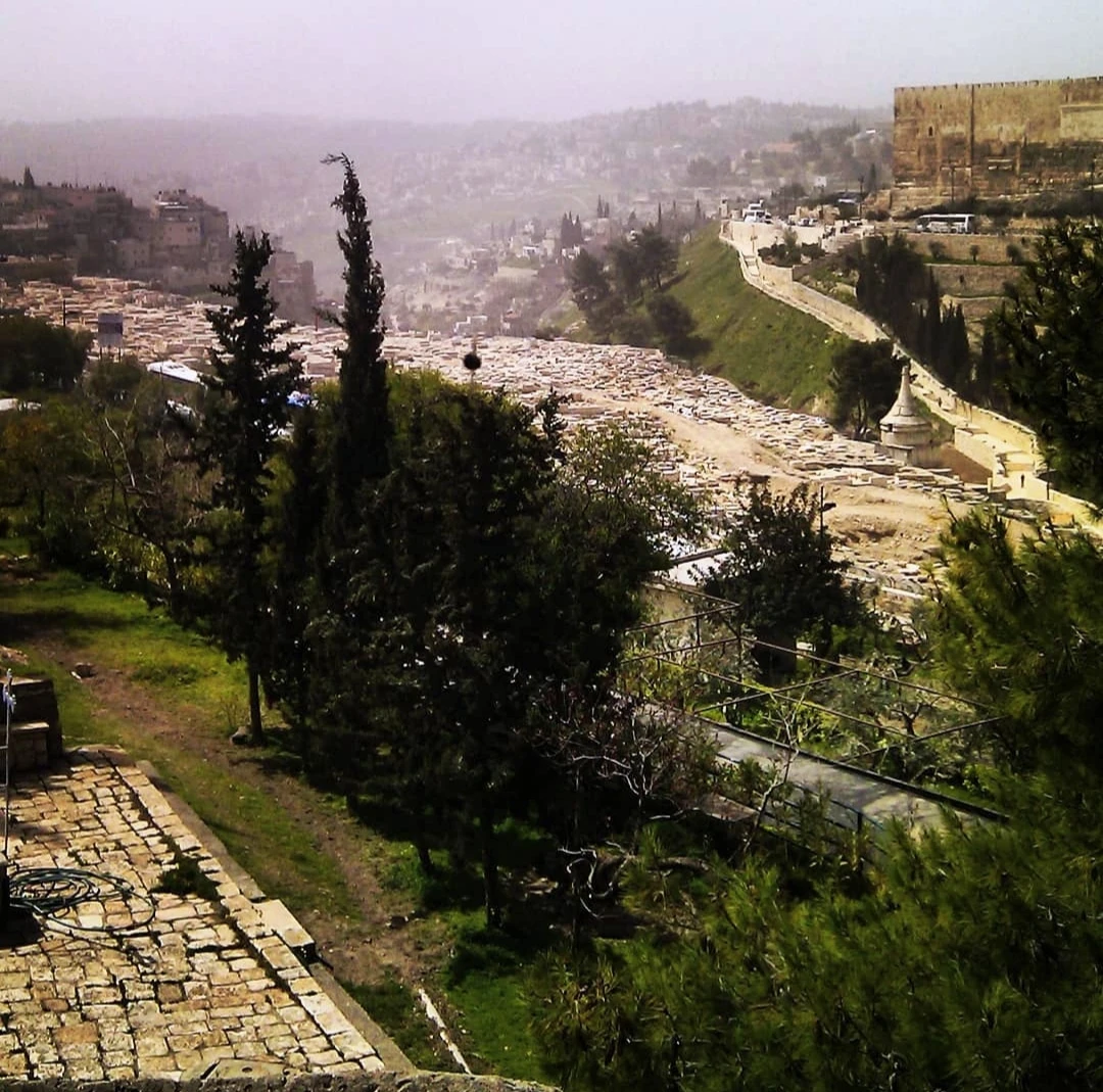 Иллюстрация к книге — Человеки [book-illustration-6.webp]