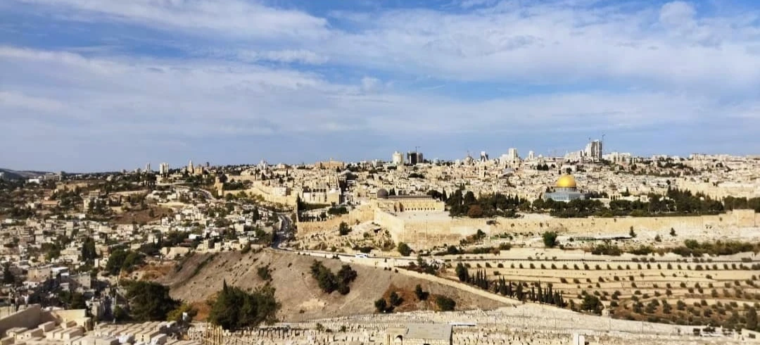 Иллюстрация к книге — Человеки [book-illustration-7.webp]