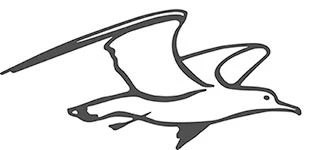 Иллюстрация к книге — В сумерках моря [book-illustration-14.webp]