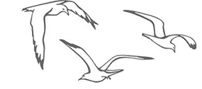 Иллюстрация к книге — В сумерках моря [book-illustration-16.webp]