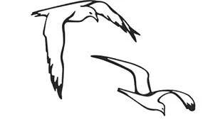 Иллюстрация к книге — В сумерках моря [book-illustration-25.webp]