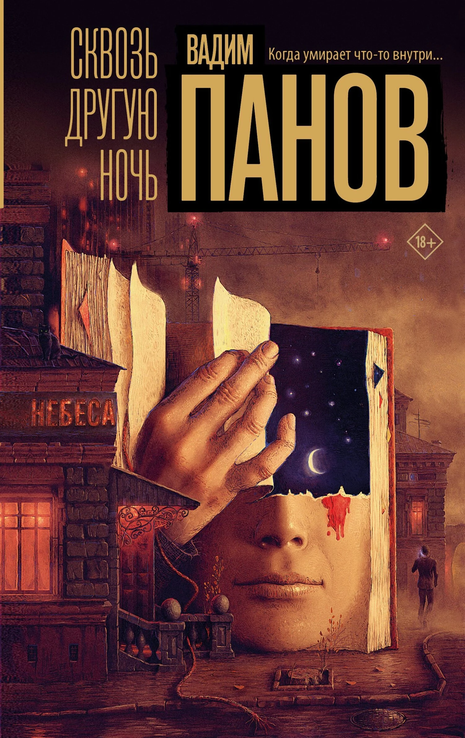 Книга Сквозь другую ночь