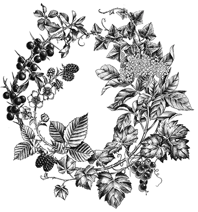 Иллюстрация к книге — Корона рогатого короля [book-illustration-8.webp]