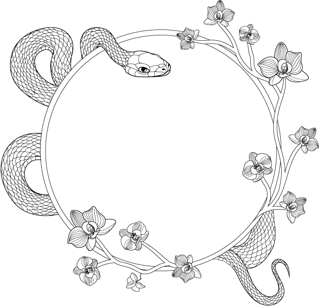 Иллюстрация к книге — Сказание о Сы Мин. Книга 1 [book-illustration-5.webp]