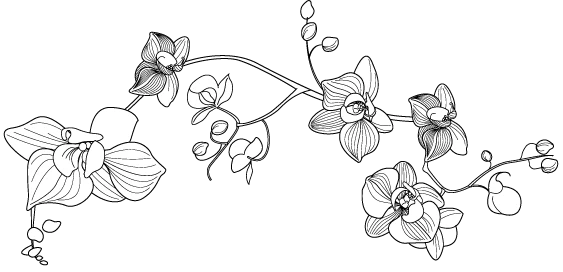 Иллюстрация к книге — Сказание о Сы Мин. Книга 1 [book-illustration-6.webp]