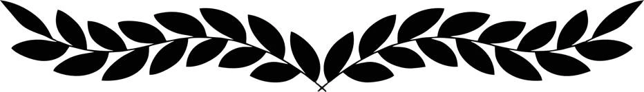 Иллюстрация к книге — Шелковый хаос [book-illustration-14.webp]