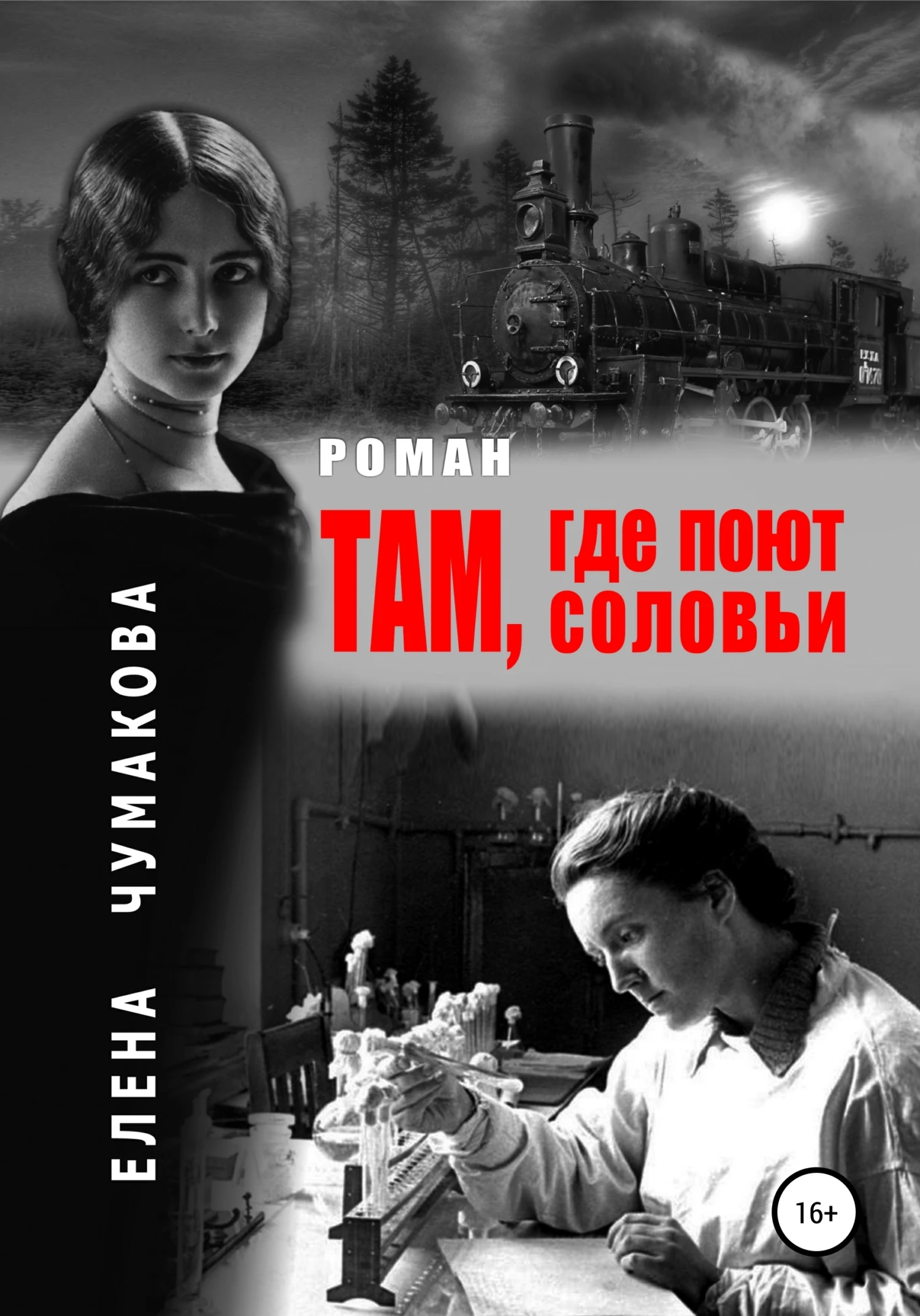Книга Там, где поют соловьи