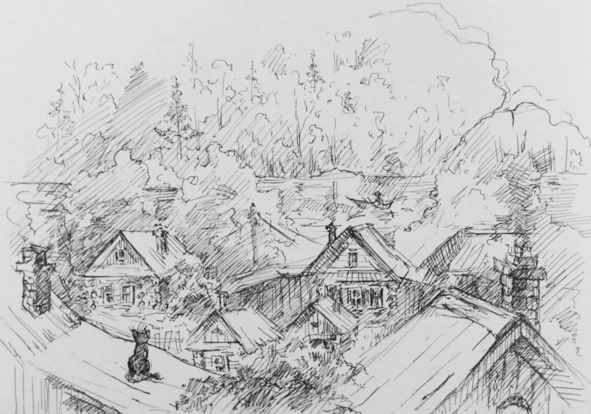 Иллюстрация к книге — Монологи бездомного кота [book-illustration-14.webp]