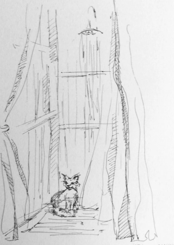 Иллюстрация к книге — Монологи бездомного кота [book-illustration-3.webp]