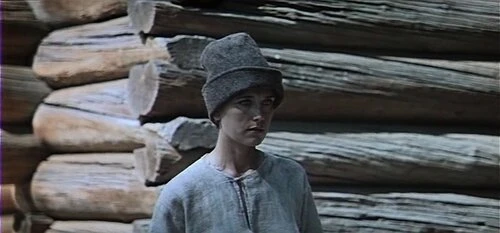 Иллюстрация к книге — Наследники Вещего Олега. Годы золотой славы [book-illustration-31.webp]