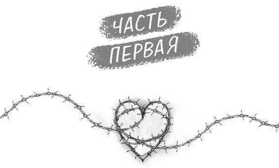 Иллюстрация к книге — Адвокат киллера [book-illustration-3.webp]