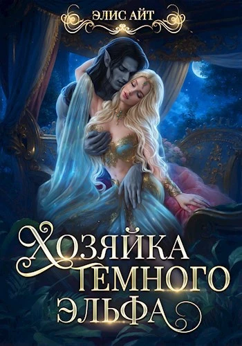 Книга Хозяйка тёмного эльфа