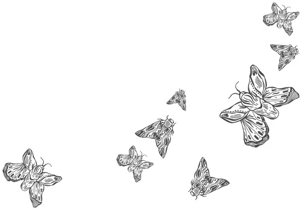 Иллюстрация к книге — Любовь всей моей смерти. Том 1 [book-illustration-14.webp]