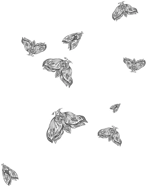 Иллюстрация к книге — Любовь всей моей смерти. Том 1 [book-illustration-17.webp]