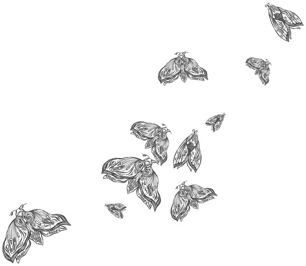 Иллюстрация к книге — Любовь всей моей смерти. Том 1 [book-illustration-18.webp]