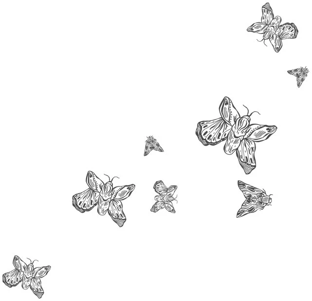 Иллюстрация к книге — Любовь всей моей смерти. Том 1 [book-illustration-36.webp]