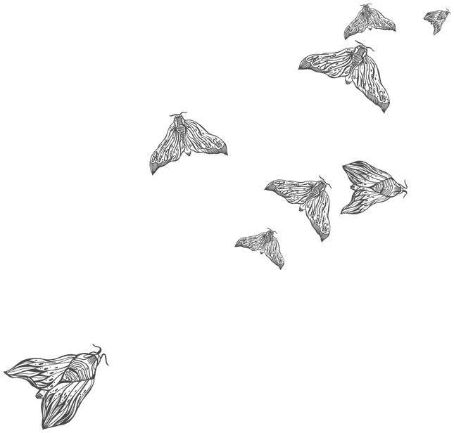 Иллюстрация к книге — Любовь всей моей смерти. Том 1 [book-illustration-8.webp]