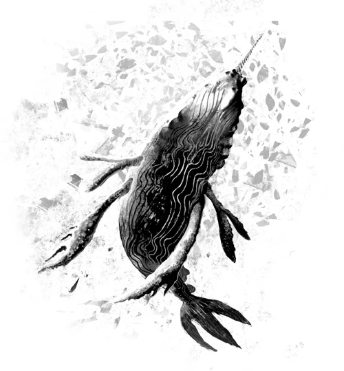 Иллюстрация к книге — Сердце Стужи [book-illustration-2.webp]