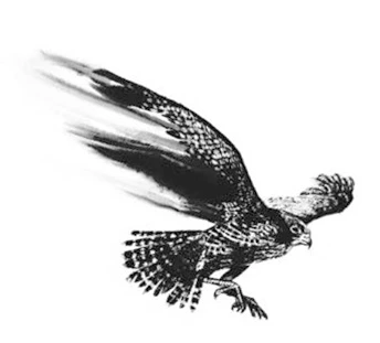 Иллюстрация к книге — Зов ястреба [book-illustration-4.webp]