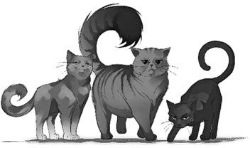 Иллюстрация к книге — Ключ к древнему пророчеству [book-illustration-6.webp]