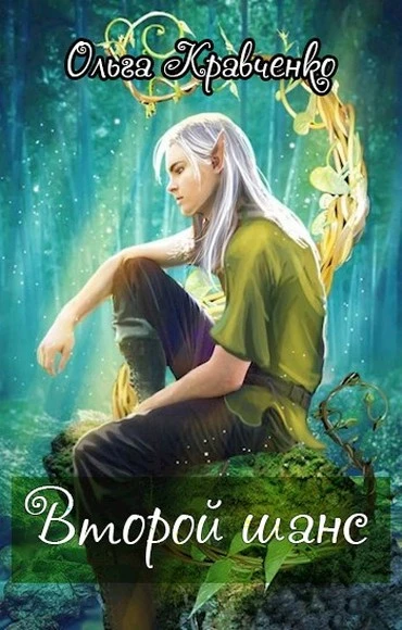 Книга Второй шанс