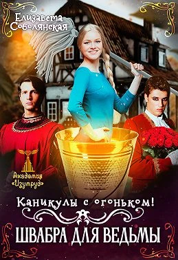 Книга Каникулы с огоньком. Швабра для ведьмы