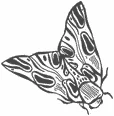 Иллюстрация к книге — Любовь всей моей смерти. Том 1 [book-illustration-15.webp]