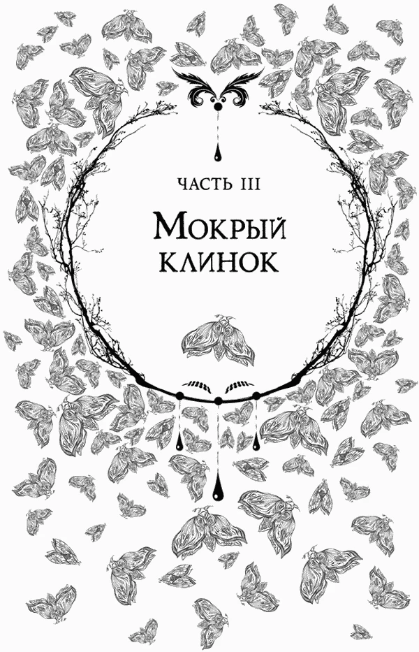 Иллюстрация к книге — Любовь всей моей смерти. Том 1 [book-illustration-19.webp]