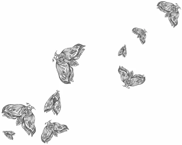 Иллюстрация к книге — Любовь всей моей смерти. Том 1 [book-illustration-20.webp]