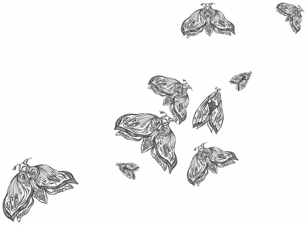 Иллюстрация к книге — Любовь всей моей смерти. Том 1 [book-illustration-22.webp]