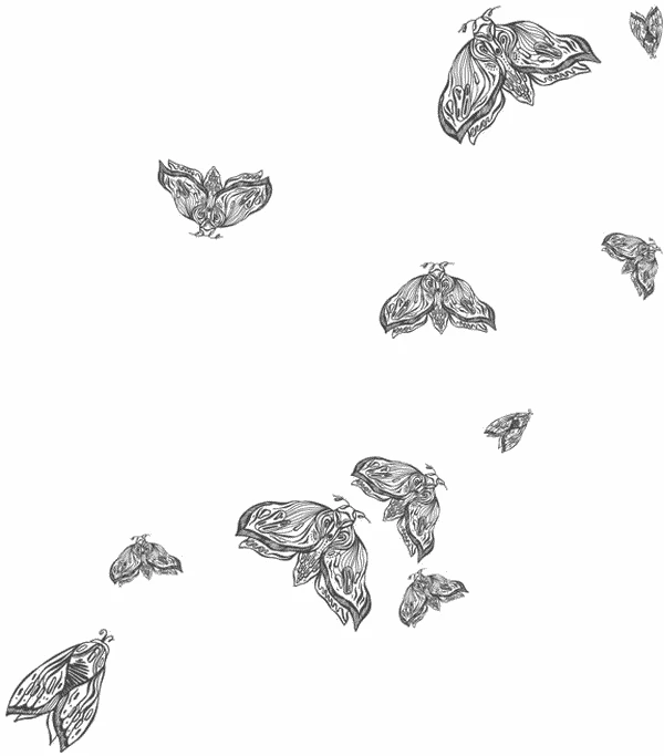 Иллюстрация к книге — Любовь всей моей смерти. Том 1 [book-illustration-24.webp]