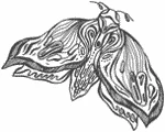 Иллюстрация к книге — Любовь всей моей смерти. Том 1 [book-illustration-27.webp]