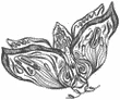 Иллюстрация к книге — Любовь всей моей смерти. Том 1 [book-illustration-31.webp]
