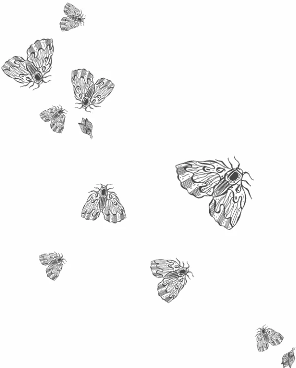 Иллюстрация к книге — Любовь всей моей смерти. Том 1 [book-illustration-4.webp]