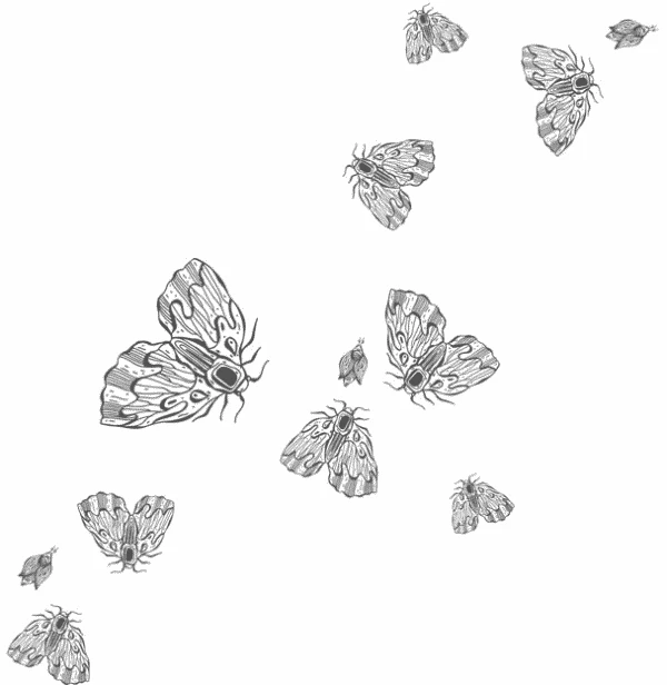 Иллюстрация к книге — Любовь всей моей смерти. Том 1 [book-illustration-5.webp]