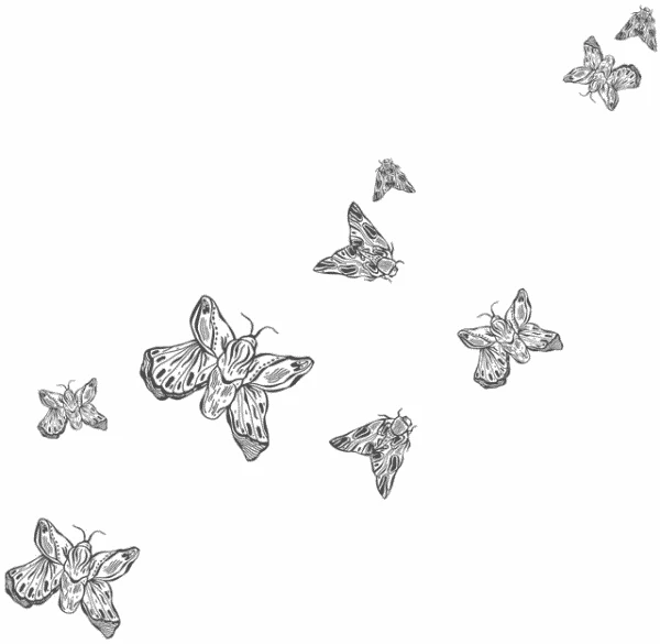 Иллюстрация к книге — Любовь всей моей смерти. Том 1 [book-illustration-9.webp]