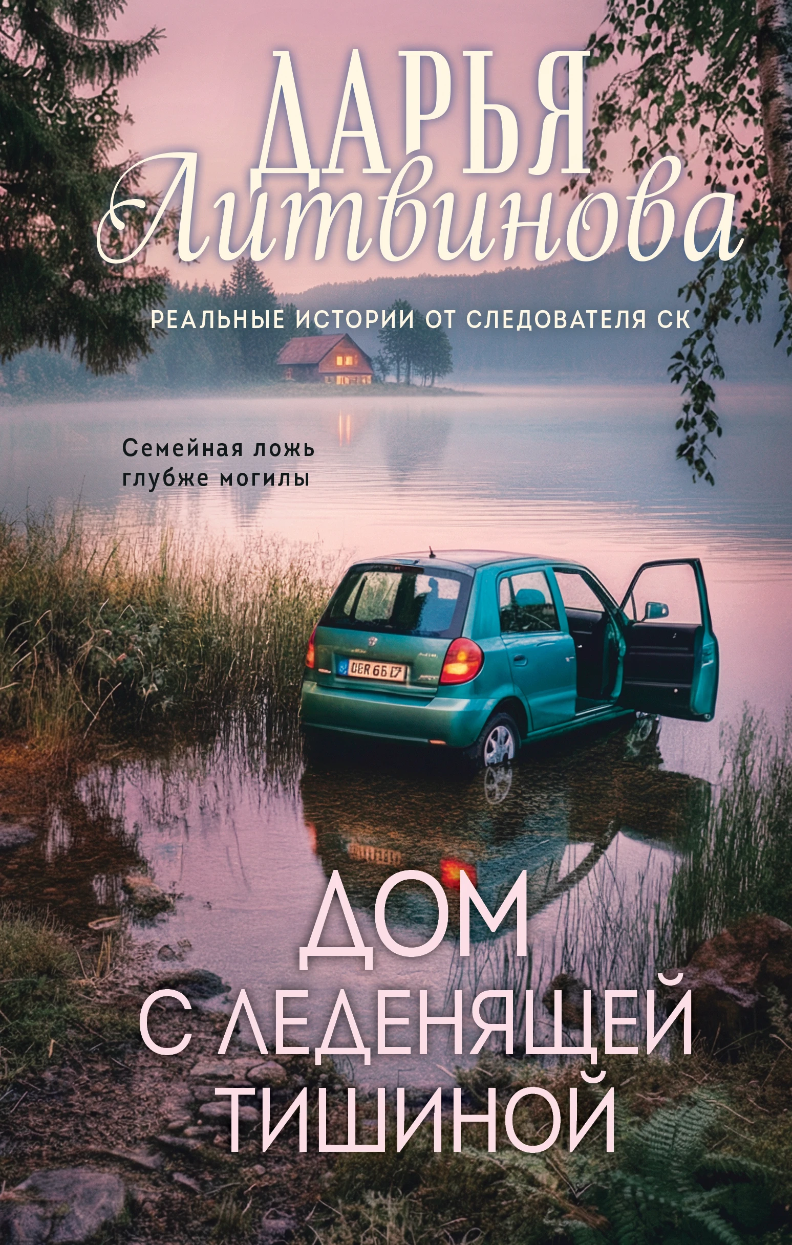 Книга Дом с леденящей тишиной