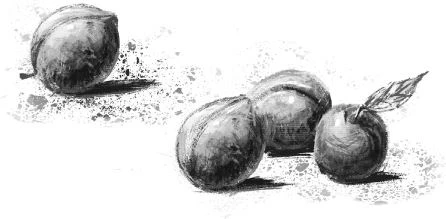 Иллюстрация к книге — Удивительные истории о любви [book-illustration-1.webp]