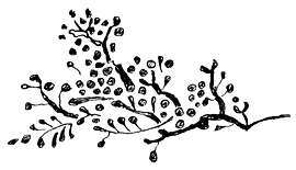 Иллюстрация к книге — Пока не погаснет последний фонарь. Том 2 [book-illustration-11.webp]