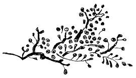 Иллюстрация к книге — Пока не погаснет последний фонарь. Том 2 [book-illustration-21.webp]