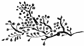 Иллюстрация к книге — Пока не погаснет последний фонарь. Том 4 [book-illustration-19.webp]
