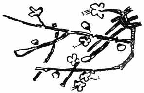 Иллюстрация к книге — Пока не погаснет последний фонарь. Том 4 [book-illustration-6.webp]