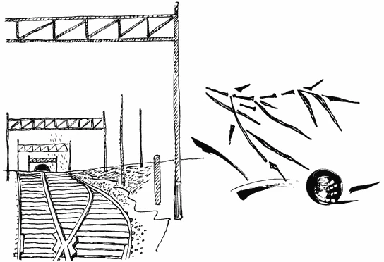 Иллюстрация к книге — Пока не погаснет последний фонарь. Том 4 [book-illustration-8.webp]