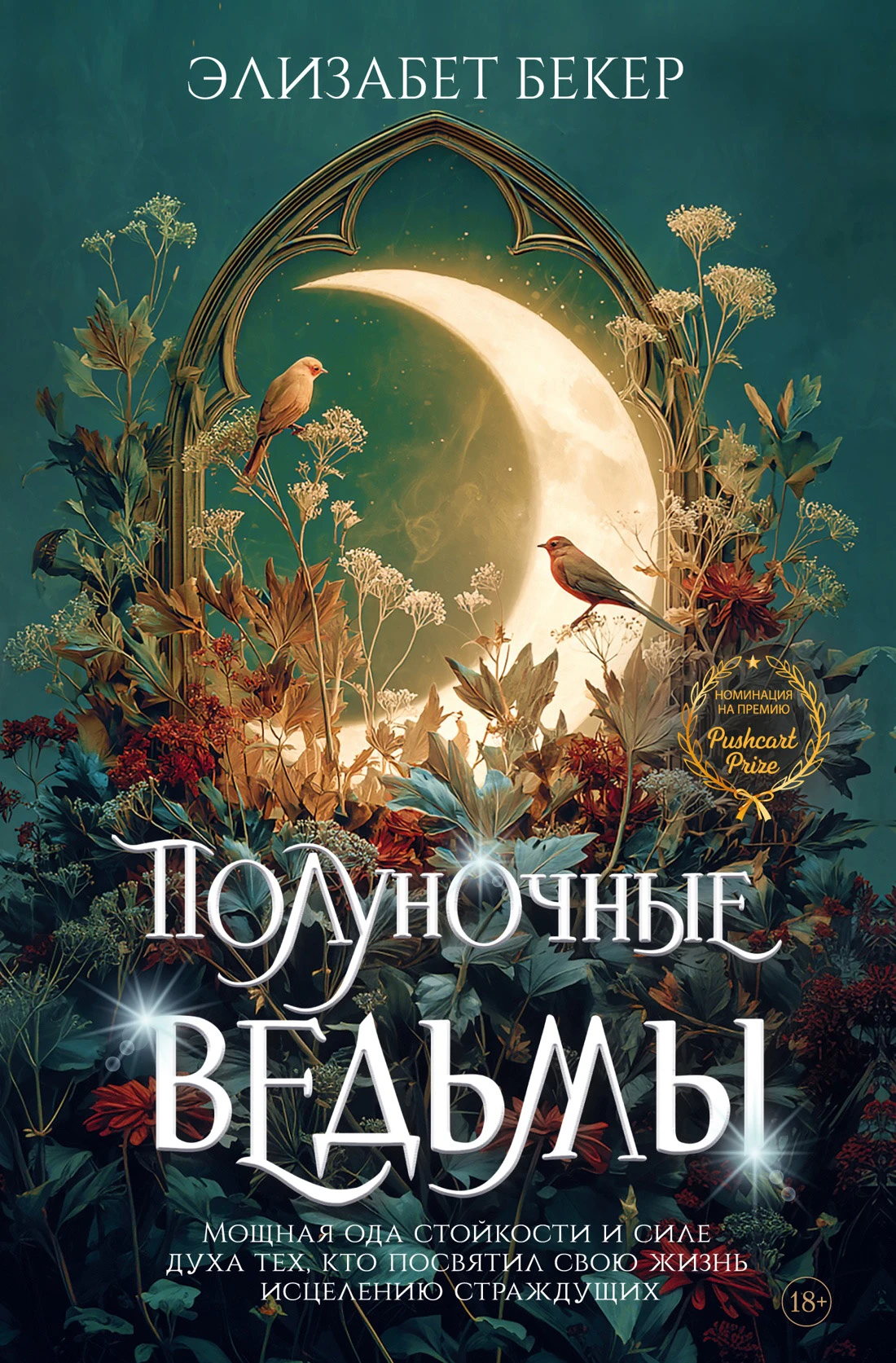 Книга Полуночные ведьмы