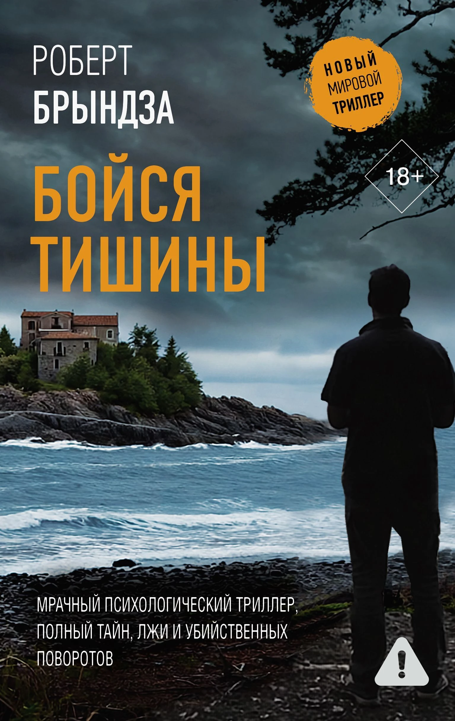 Книга Бойся тишины